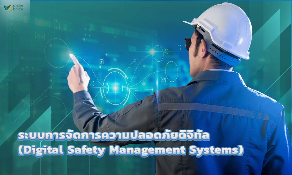 2.ระบบการจัดการความปลอดภัยดิจิทัล (Digital Safety Management Systems) copy