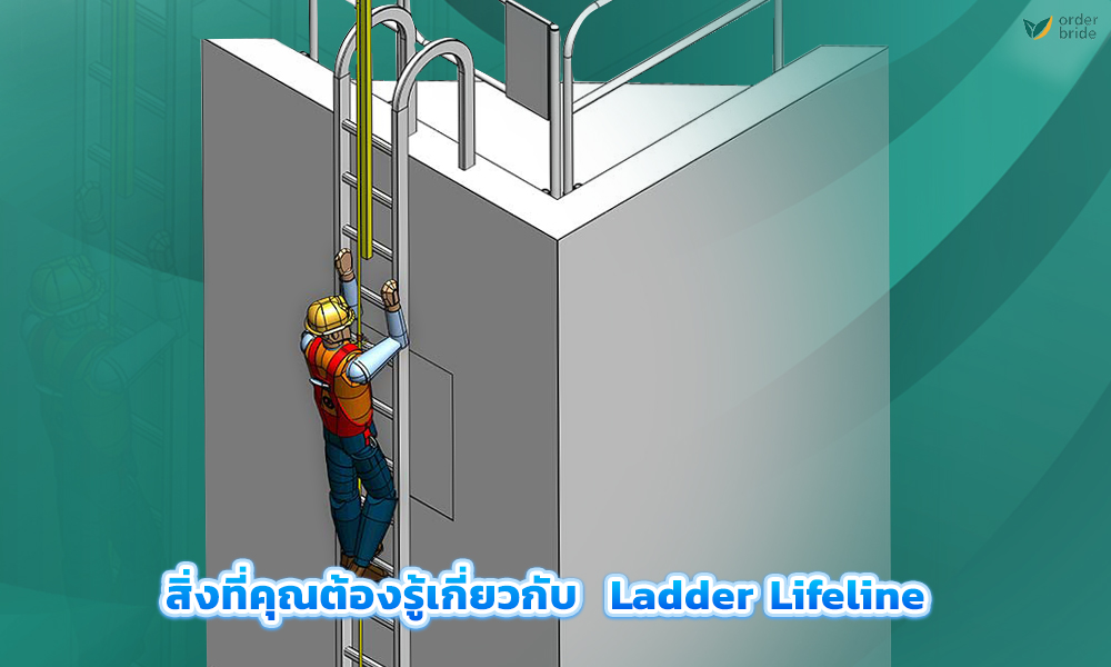 3.สิ่งที่คุณต้องรู้เกี่ยวกับ Ladder Lifeline copy